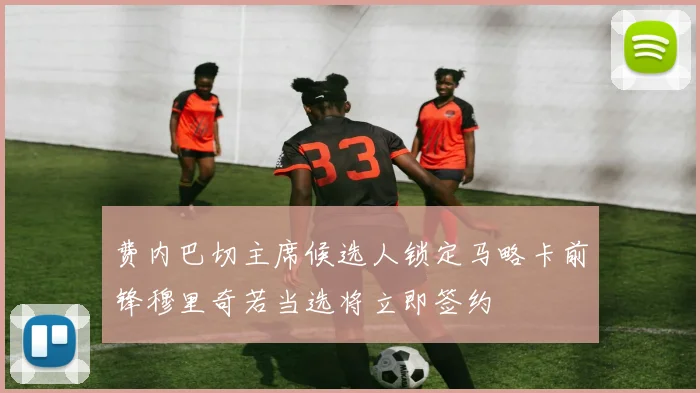 费内巴切主席候选人锁定马略卡前锋穆里奇若当选将立即签约